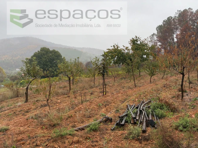 Quinta para Venda em Paul Foto 10