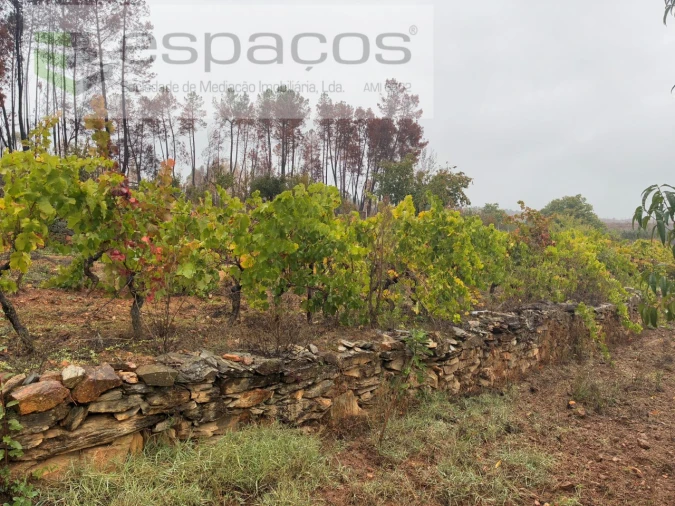 Quinta para Venda em Paul Foto 15