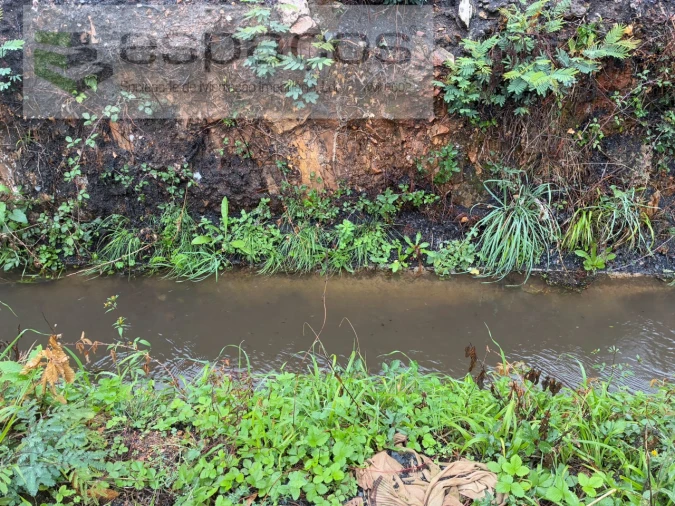 Quinta para Venda em Paul Foto 23