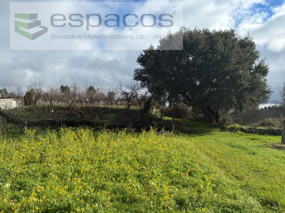 Quinta T1 para Venda em Peso e Vales do Rio Foto 8