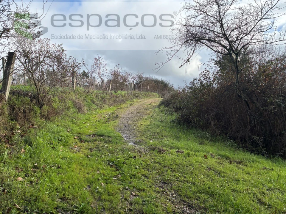Quinta T1 para Venda em Peso e Vales do Rio Foto 16