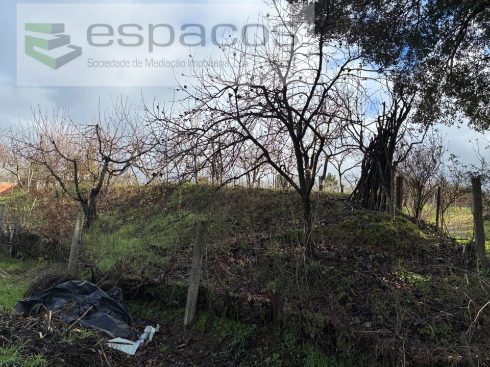 Quinta T1 para Venda em Peso e Vales do Rio Foto 18