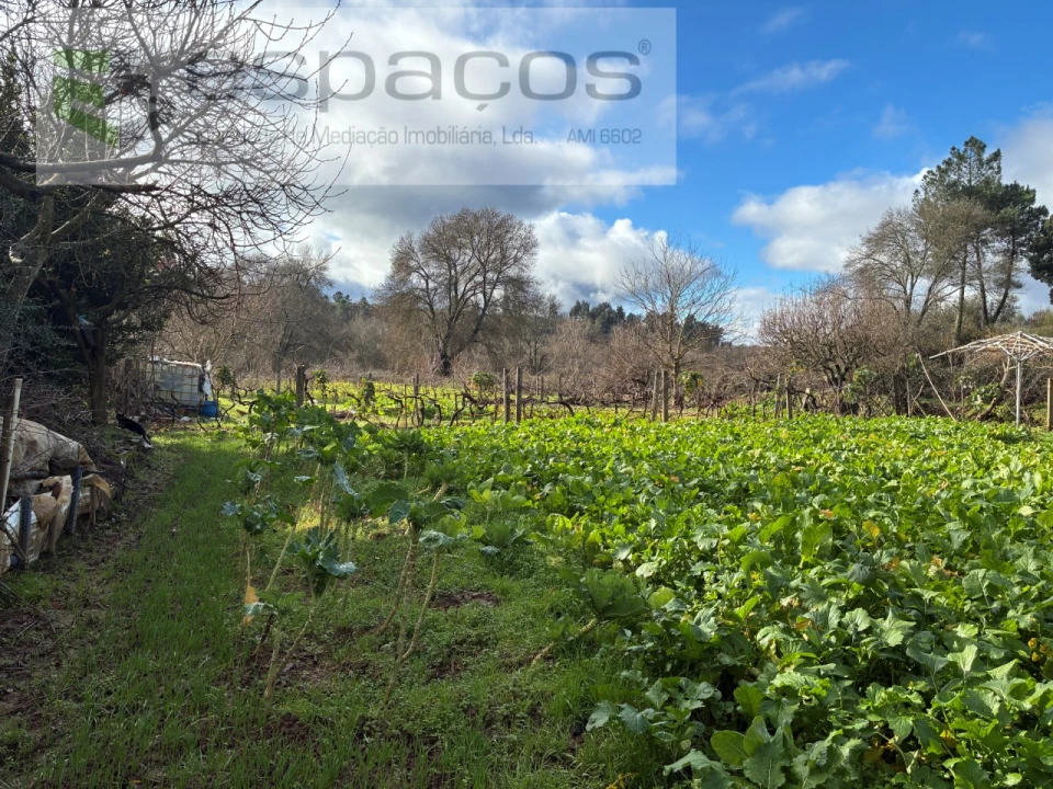 Quinta T1 para Venda em Peso e Vales do Rio Foto 20
