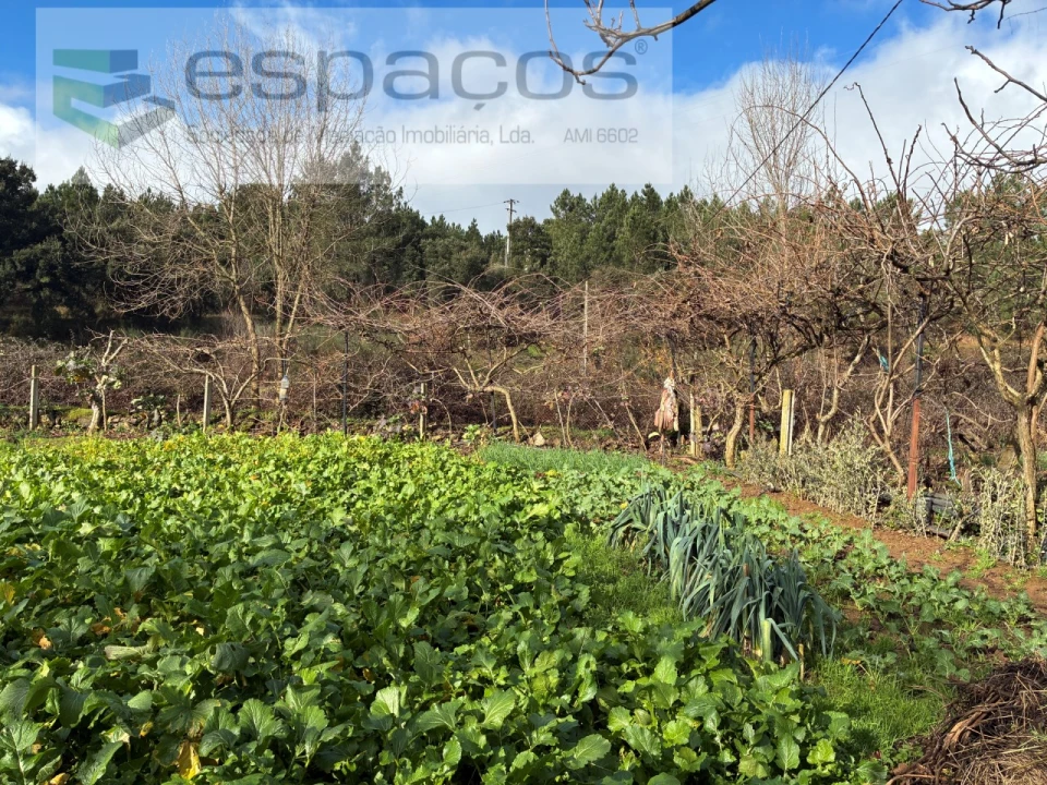 Quinta T1 para Venda em Peso e Vales do Rio Foto 22