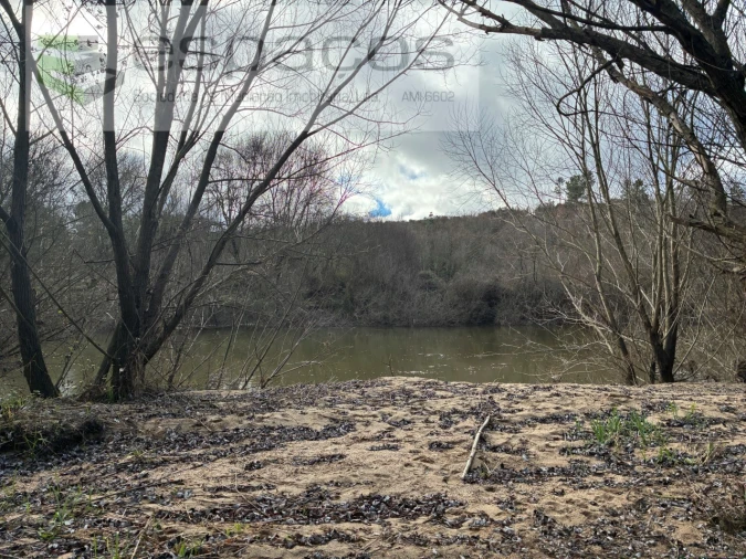 Quinta T1 para Venda em Peso e Vales do Rio Foto 5