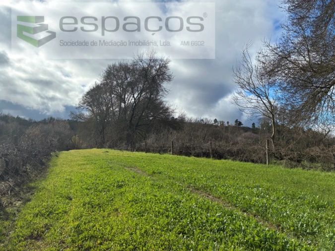 Quinta T1 para Venda em Peso e Vales do Rio Foto 7