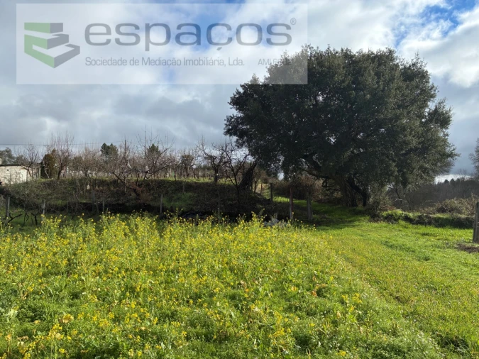 Quinta T1 para Venda em Peso e Vales do Rio Foto 8