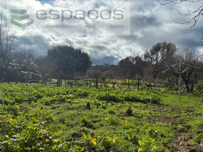 Quinta T1 para Venda em Peso e Vales do Rio Foto 23