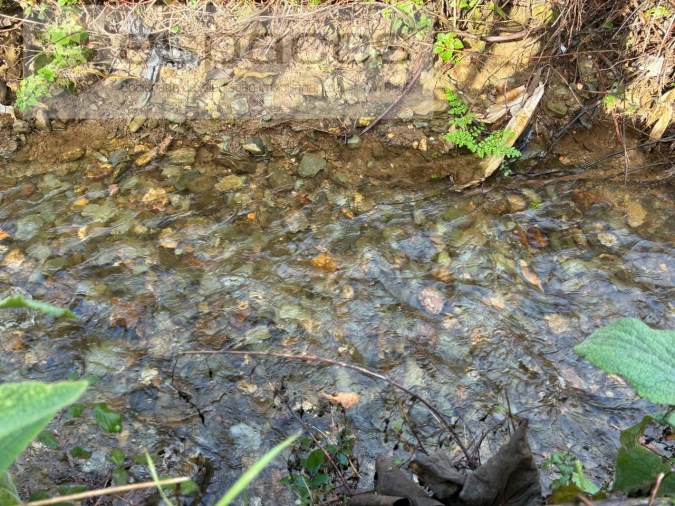 Quinta T1 para Venda em Peso e Vales do Rio Foto 25