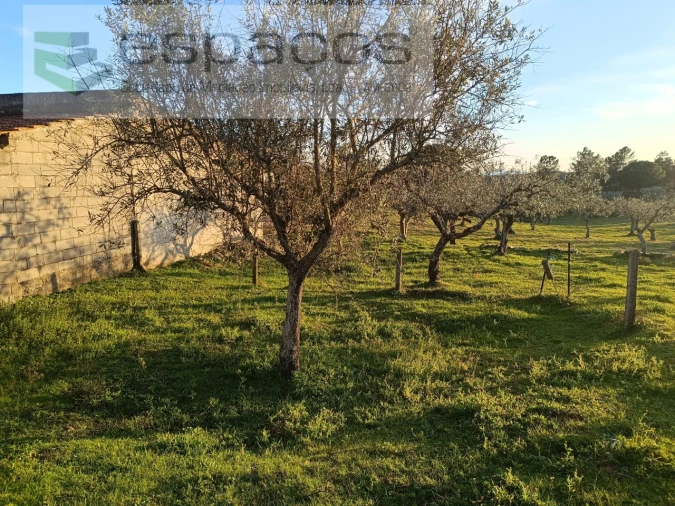 Terreno para Venda em Cebolais de Cima e Retaxo Foto 6