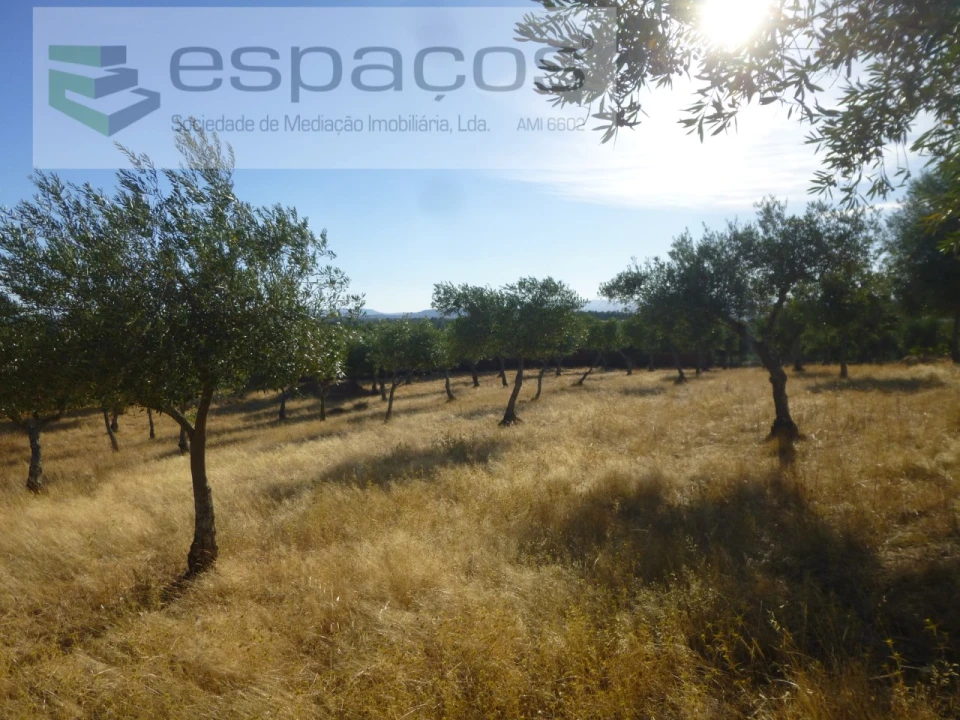 Quinta T1 para Venda em Salgueiro do Campo Foto 18