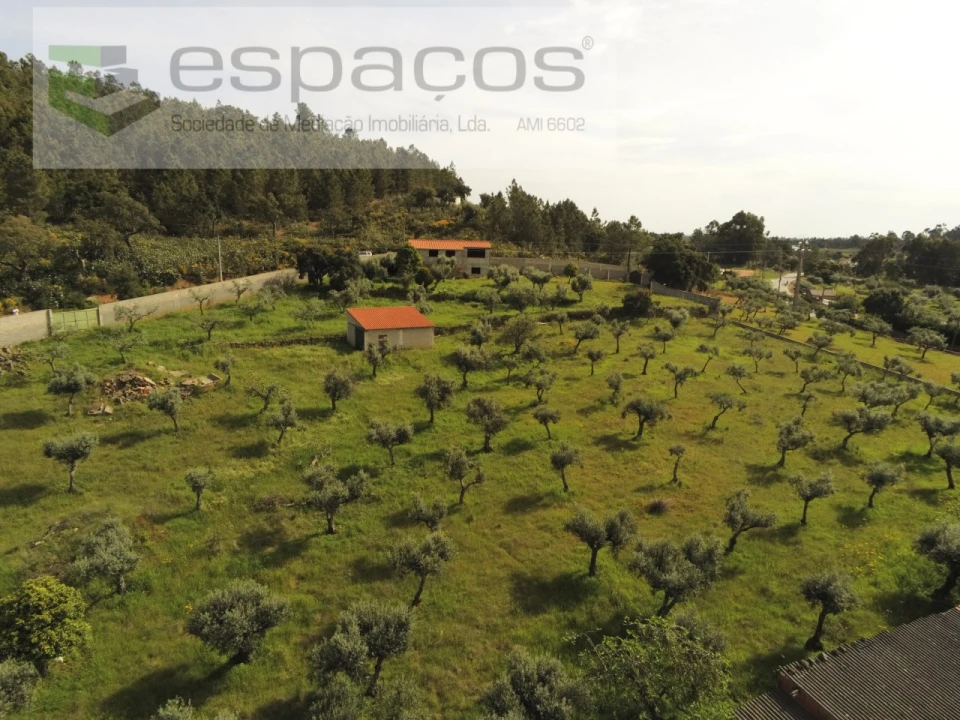 Quinta T1 para Venda em Salgueiro do Campo Foto 19