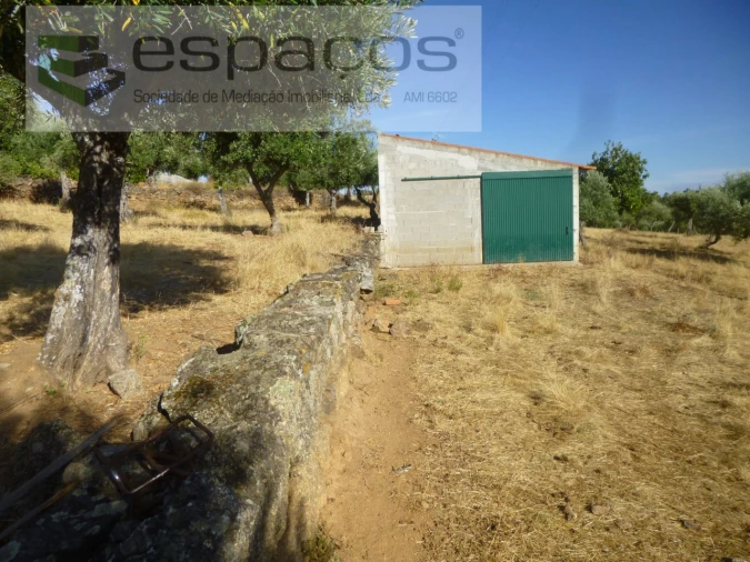 Quinta T1 para Venda em Salgueiro do Campo Foto 14