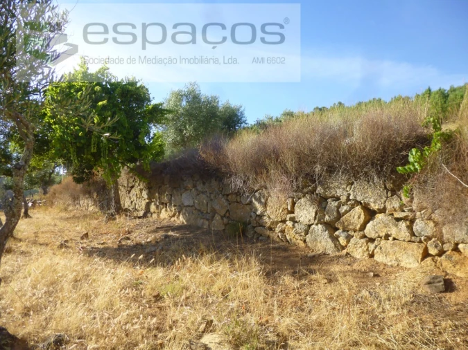 Quinta T1 para Venda em Salgueiro do Campo Foto 17