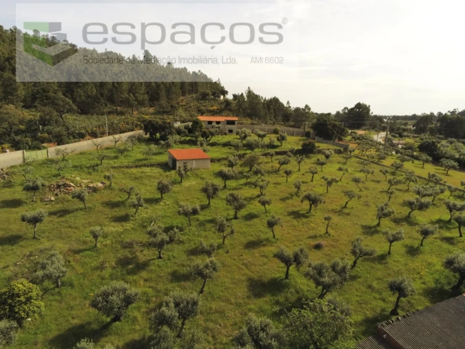 Quinta T1 para Venda em Salgueiro do Campo Foto 19