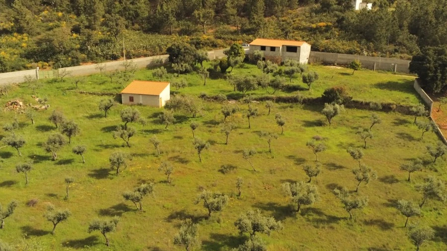 Quinta T1 para Venda em Salgueiro do Campo