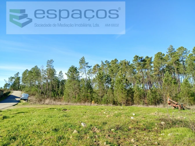 Terreno para Venda em Sarzedas Foto 8