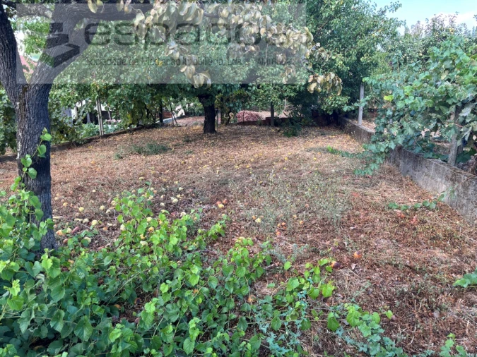 Moradia T4 para Venda em Lavacolhos Foto 31