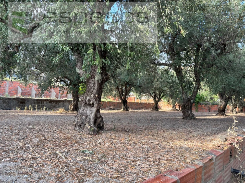 Terreno para Venda em Póvoa de Atalaia e Atalaia do Campo Foto 9