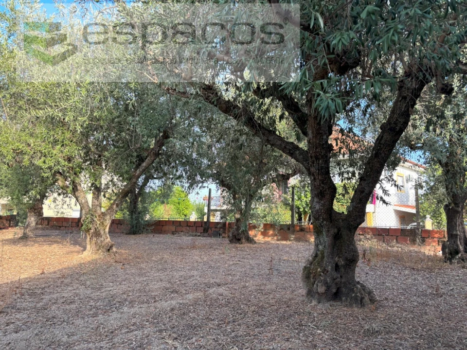 Terreno para Venda em Póvoa de Atalaia e Atalaia do Campo Foto 11