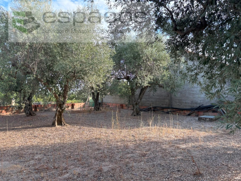 Terreno para Venda em Póvoa de Atalaia e Atalaia do Campo Foto 16