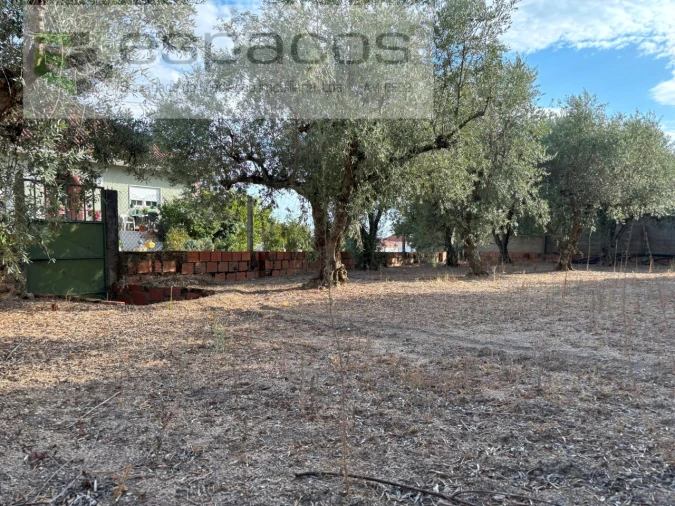Terreno para Venda em Póvoa de Atalaia e Atalaia do Campo Foto 13
