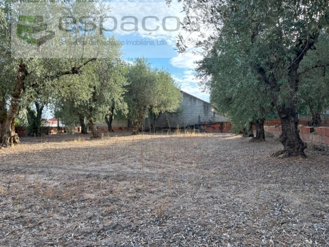 Terreno para Venda em Póvoa de Atalaia e Atalaia do Campo Foto 14