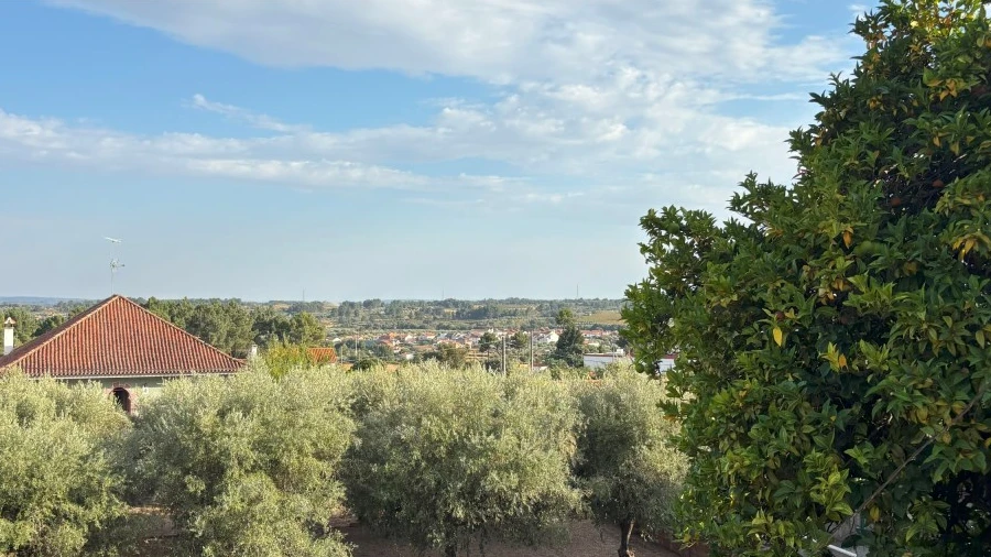 Terreno para Venda em Póvoa de Atalaia e Atalaia do Campo
