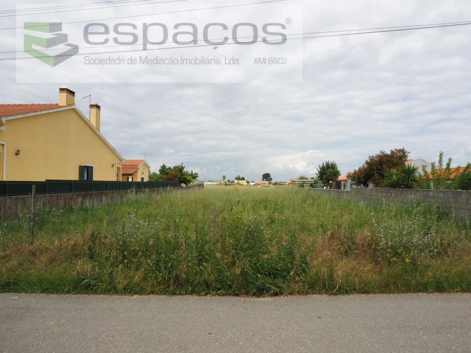 Terreno para Venda em Marinhais Foto 5