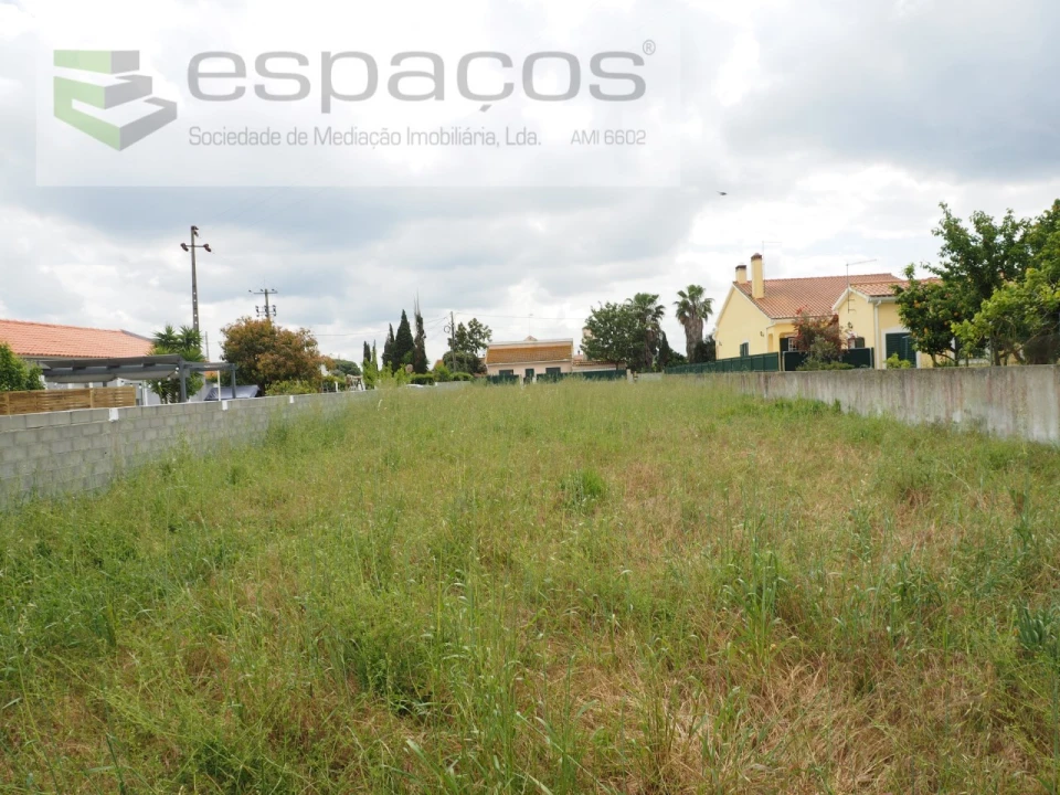 Terreno para Venda em Marinhais Foto 8