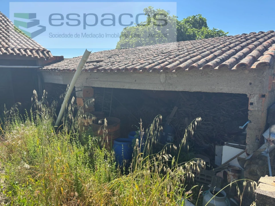 Terreno para Venda em Escalos de Baixo e Mata Foto 8