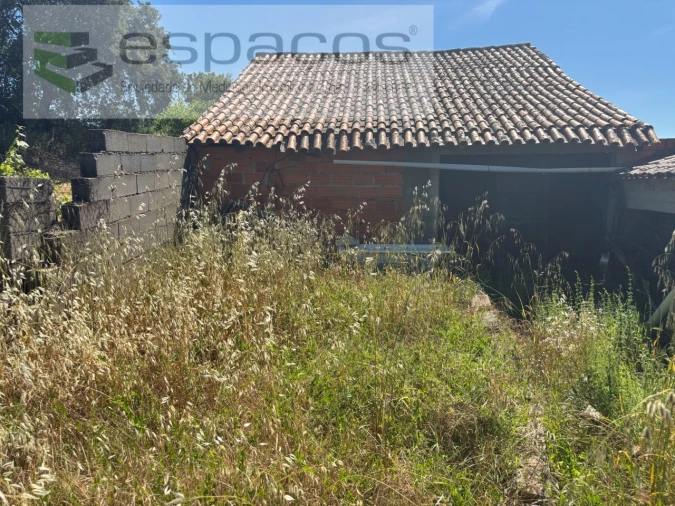 Terreno para Venda em Escalos de Baixo e Mata Foto 9