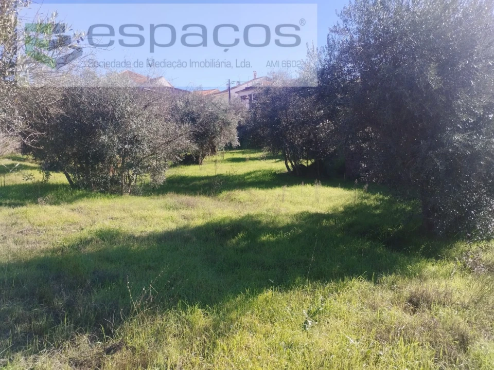 Quinta T4 para Venda em Aldeia do Bispo, Águas e Aldeia de João Pires Foto 33