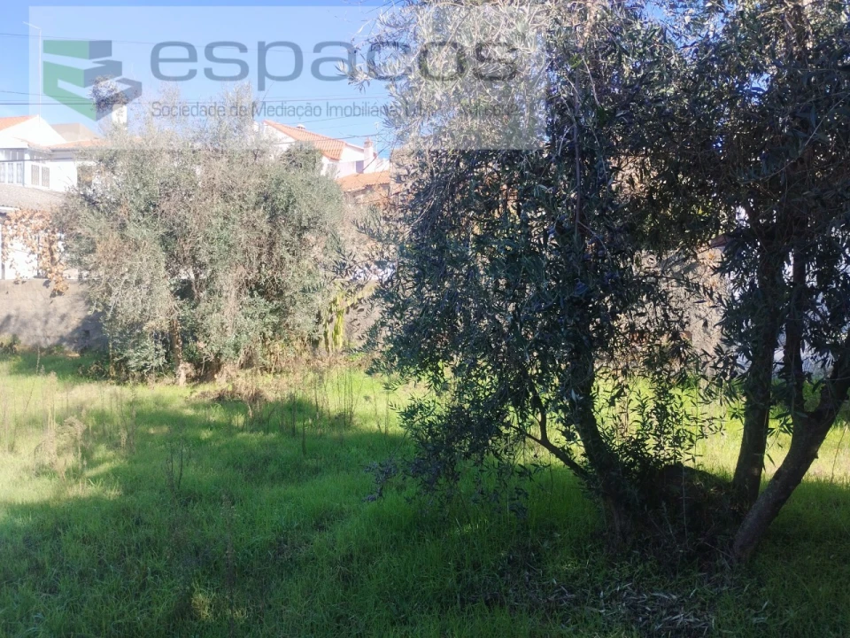 Quinta T4 para Venda em Aldeia do Bispo, Águas e Aldeia de João Pires Foto 35