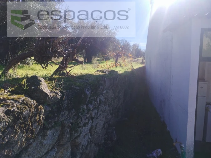 Quinta T4 para Venda em Aldeia do Bispo, Águas e Aldeia de João Pires Foto 25