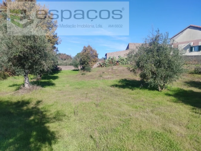Quinta T4 para Venda em Aldeia do Bispo, Águas e Aldeia de João Pires Foto 30