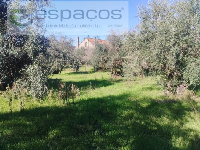 Quinta T4 para Venda em Aldeia do Bispo, Águas e Aldeia de João Pires Foto 34