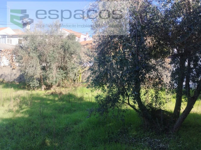 Quinta T4 para Venda em Aldeia do Bispo, Águas e Aldeia de João Pires Foto 35