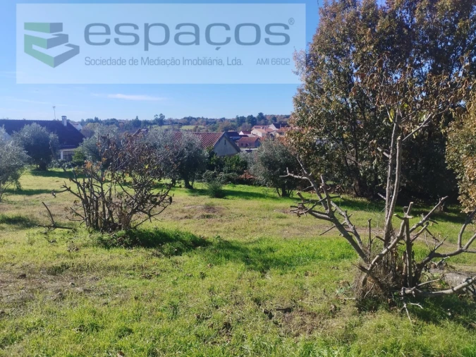 Quinta T4 para Venda em Aldeia do Bispo, Águas e Aldeia de João Pires Foto 41