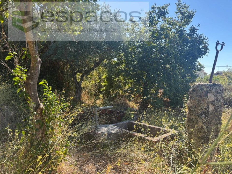 Moradia T3 para Venda em Salgueiro do Campo Foto 13