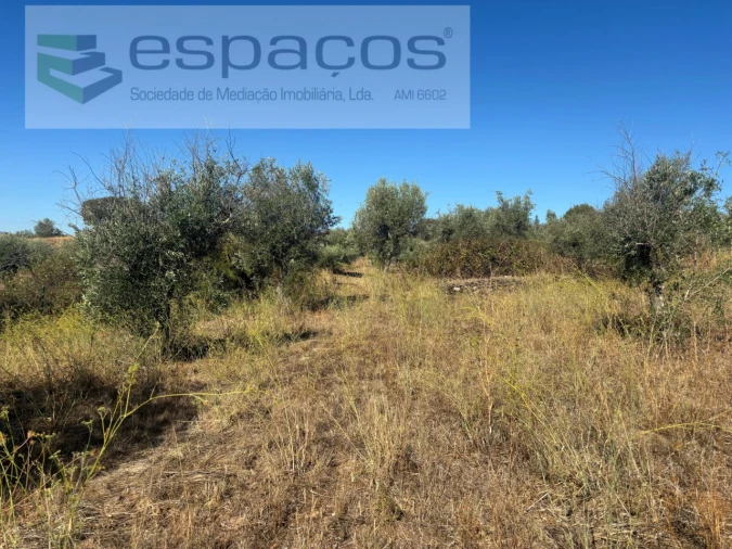 Moradia T3 para Venda em Salgueiro do Campo Foto 7