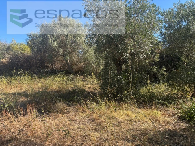 Moradia T3 para Venda em Salgueiro do Campo Foto 8