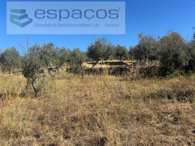 Moradia T3 para Venda em Salgueiro do Campo Foto 10