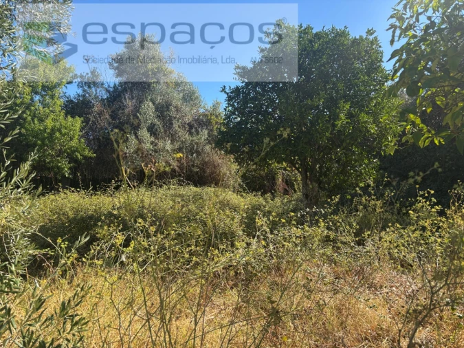 Moradia T3 para Venda em Salgueiro do Campo Foto 11