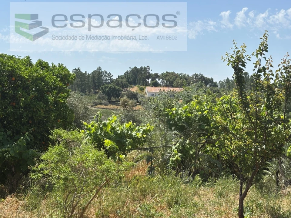 Moradia T2 para Venda em Benquerenças Foto 22