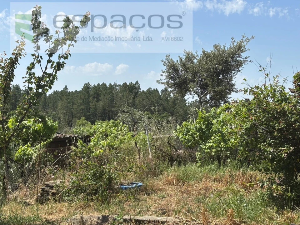 Moradia T2 para Venda em Benquerenças Foto 23