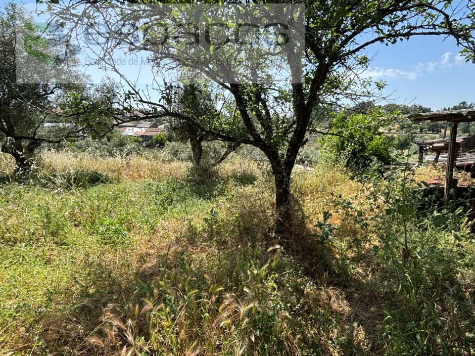 Moradia T2 para Venda em Benquerenças Foto 25