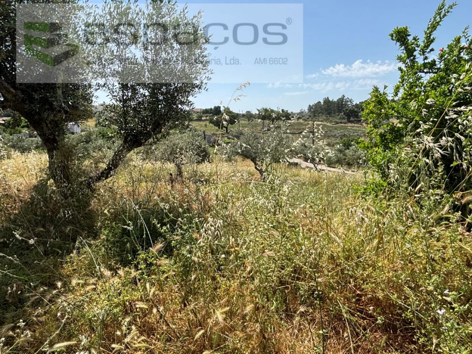 Moradia T2 para Venda em Benquerenças Foto 26