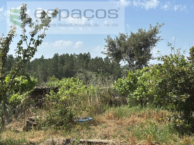 Moradia T2 para Venda em Benquerenças Foto 23