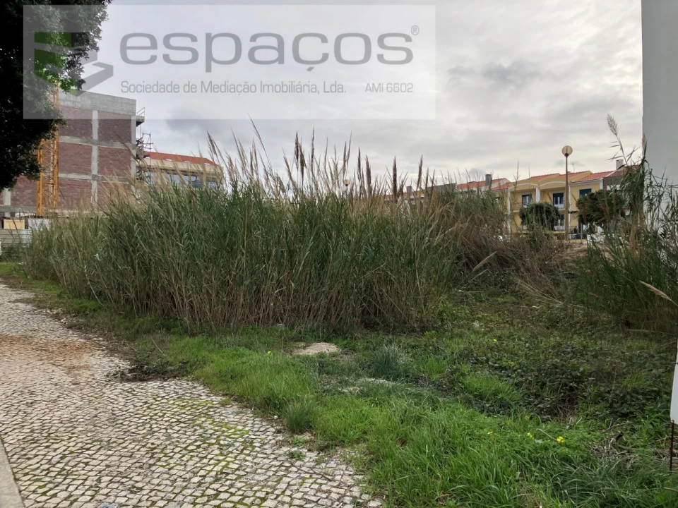 Terreno para Venda em Silveira Foto 3